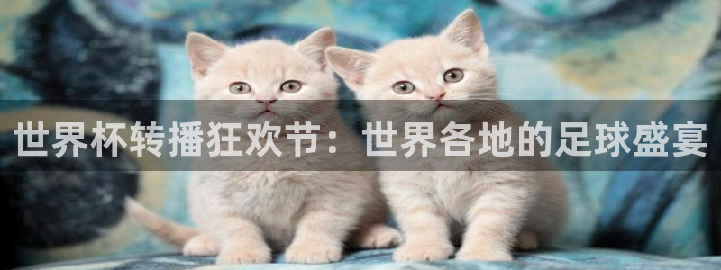亚洲杯比赛直播:世界杯转播狂欢节:世界各地的足球盛宴