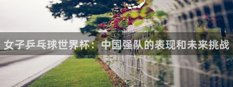 2006年世界杯冠军:女子乒乓球世界杯:中国强队的表现和未来挑战