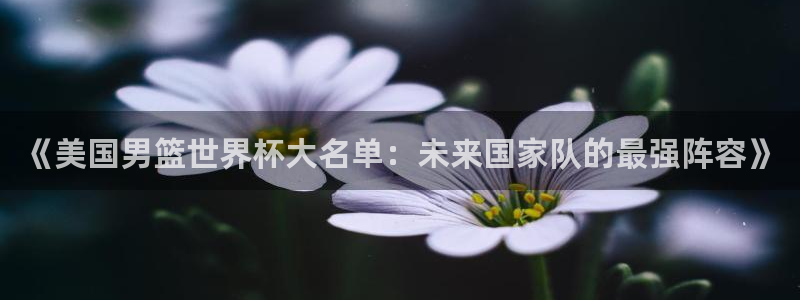 欧洲世界杯预选赛:《美国男篮世界杯大名单:未来国家队的最强阵容》