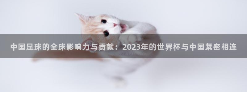 亚洲杯足球:中国足球的全球影响力与贡献:2023年的世界杯与中国紧密相连