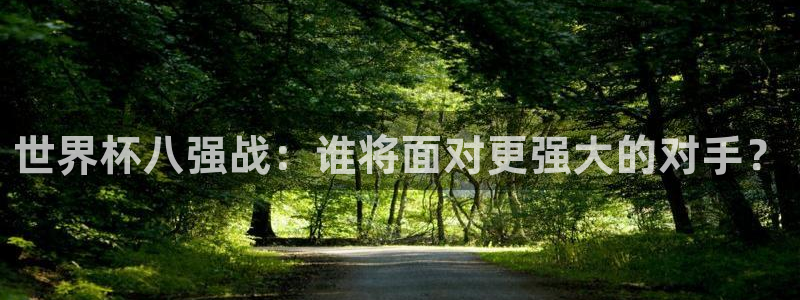 2026世界杯南美区积分榜:世界杯八强战:谁将面对更强大的对手?